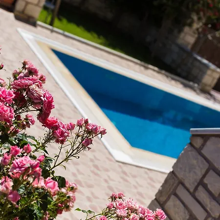Flabellina Villa *